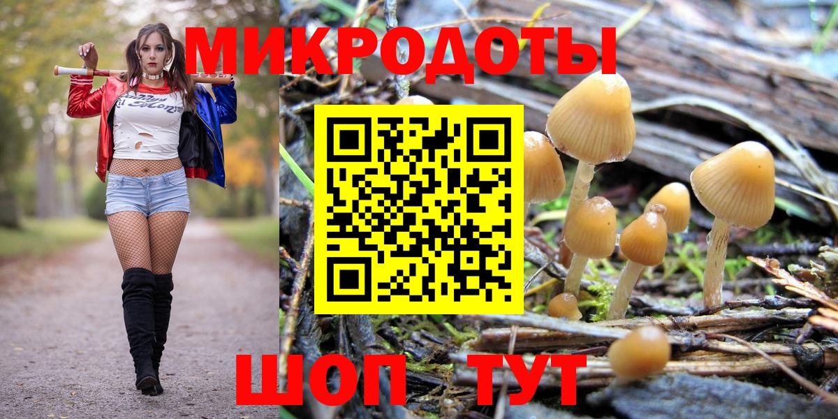 Галлюциногенные грибы Cubensis  Вход с VPN  Бийск 